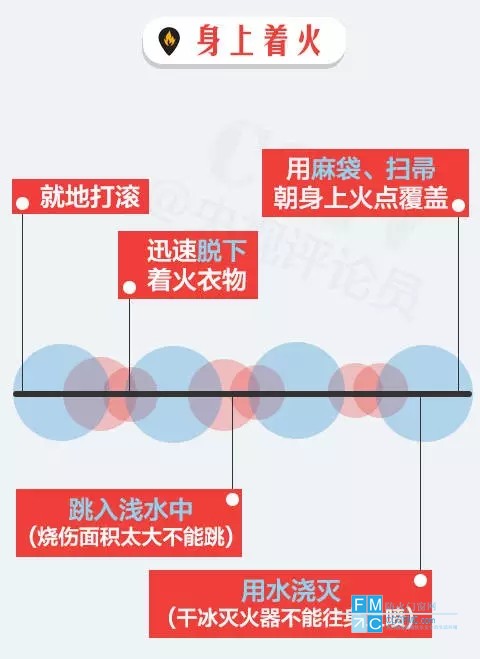 8.webp